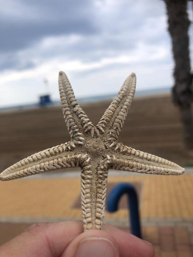 Casa Luna - Sea View Apartment Болнуево Екстериор снимка